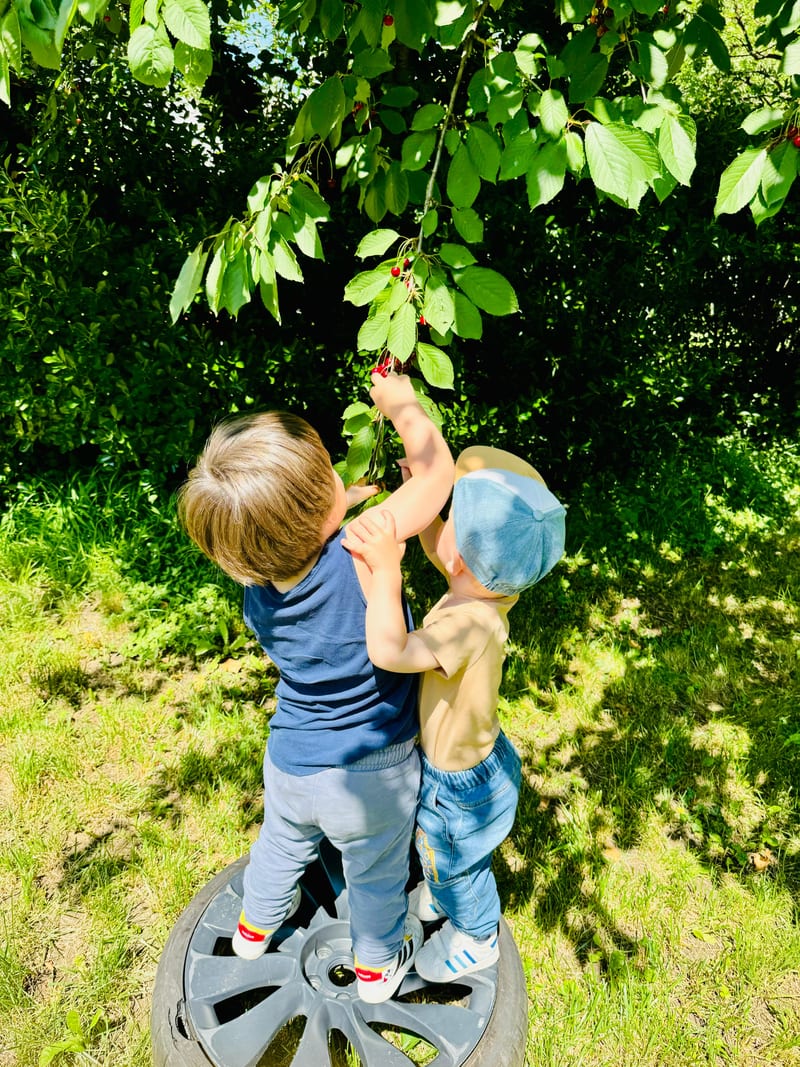 Children's activities at Zvonček