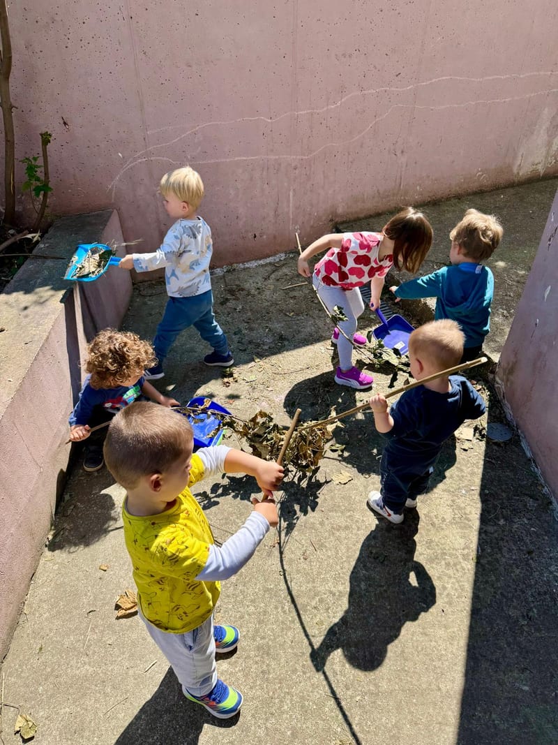 Activity in the yard