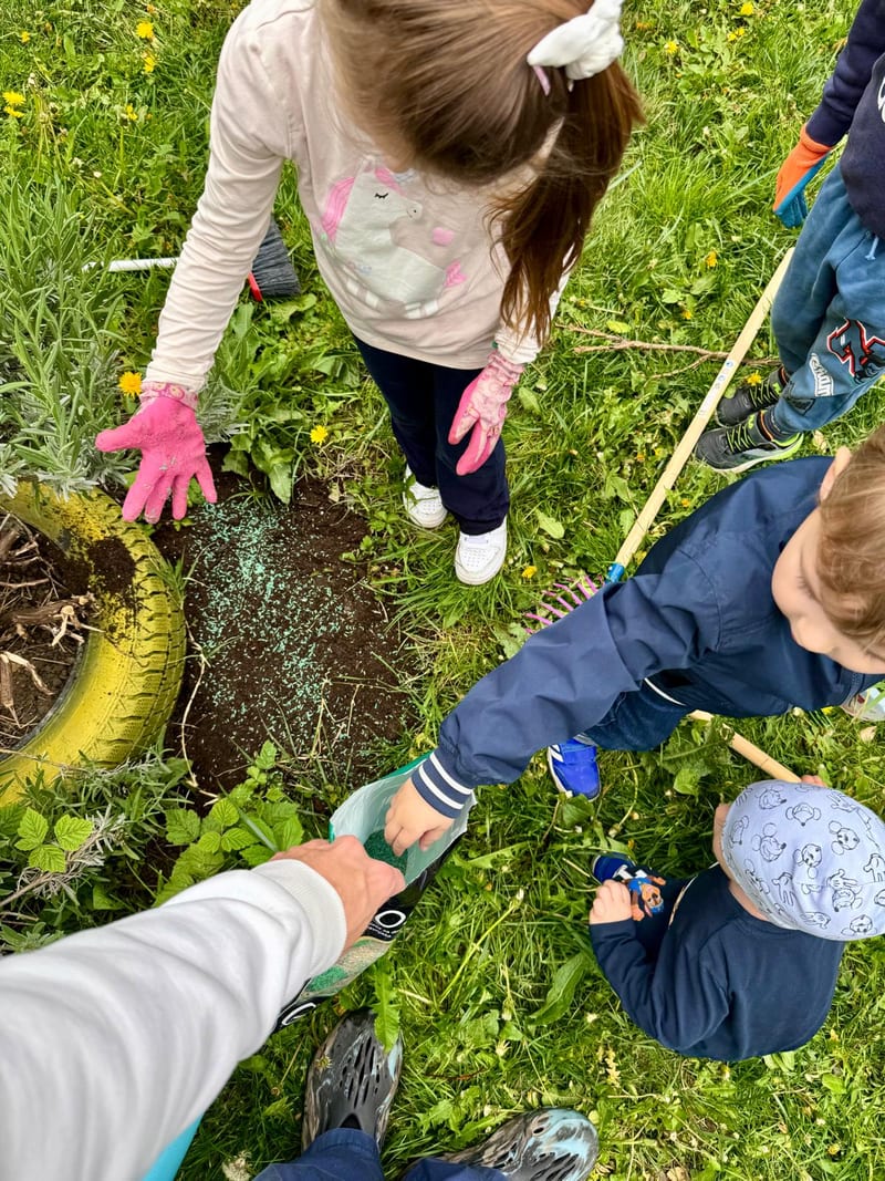 Activity in the yard