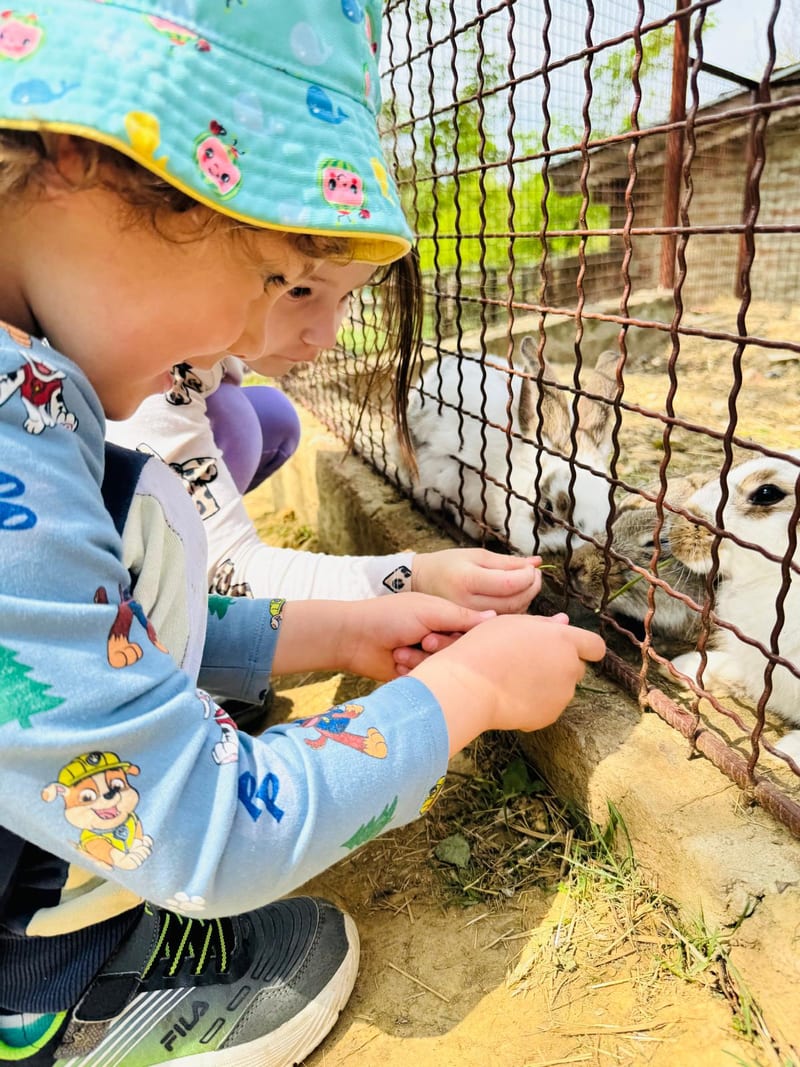 Excursion or visit outside the daycare