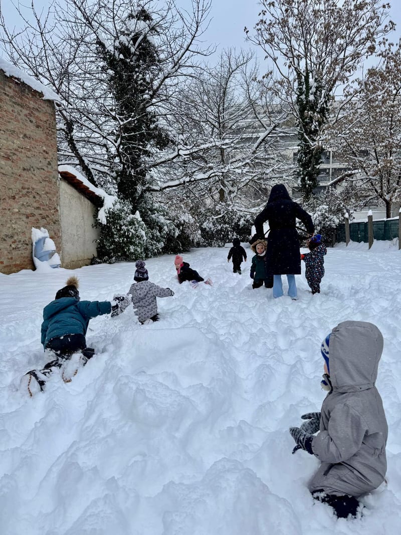Activity in the yard