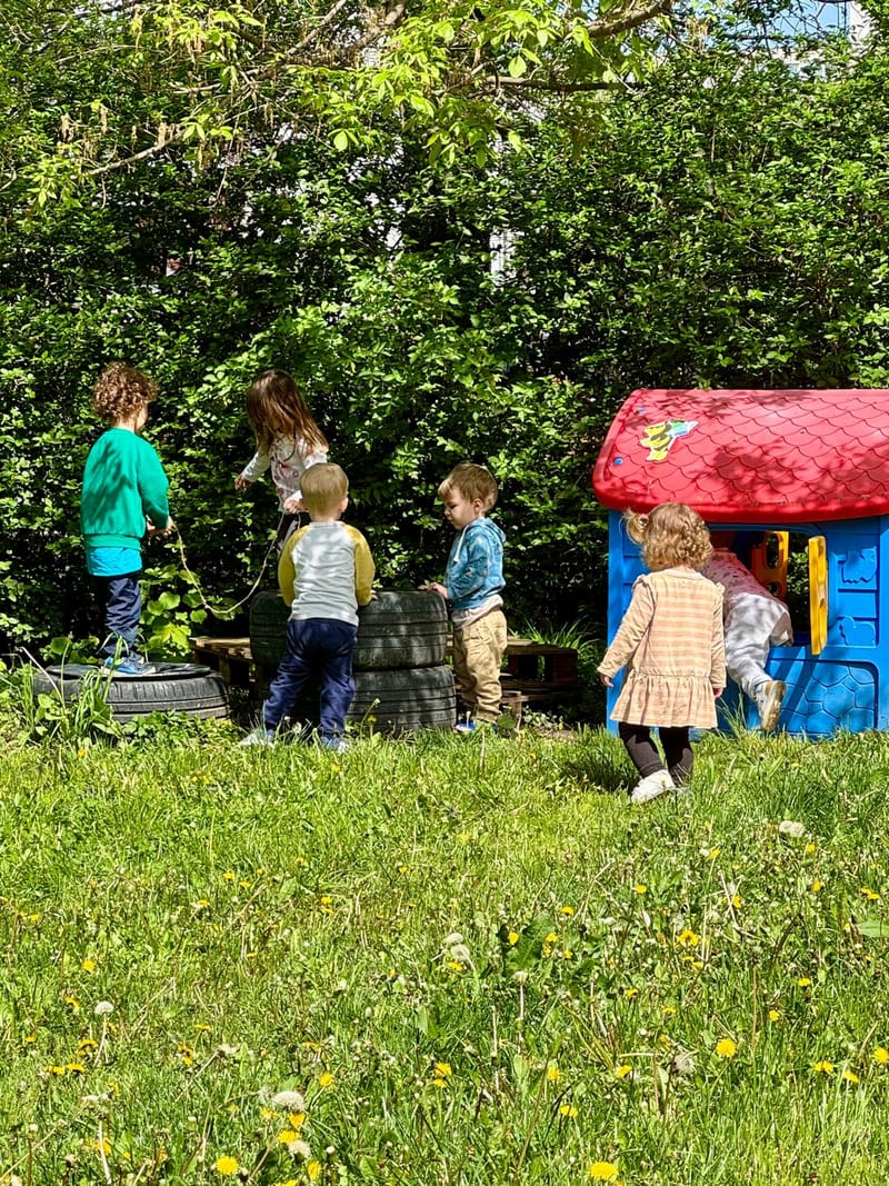 Activity in the yard