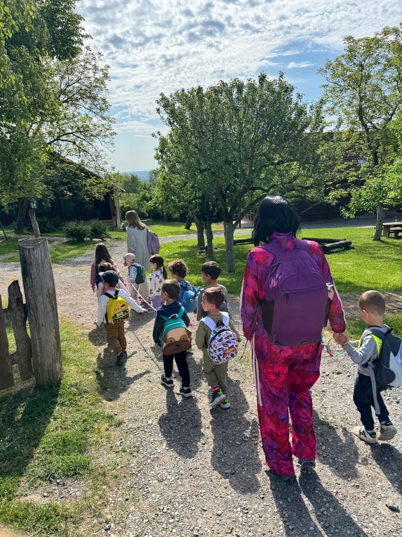 Excursion or visit outside the daycare