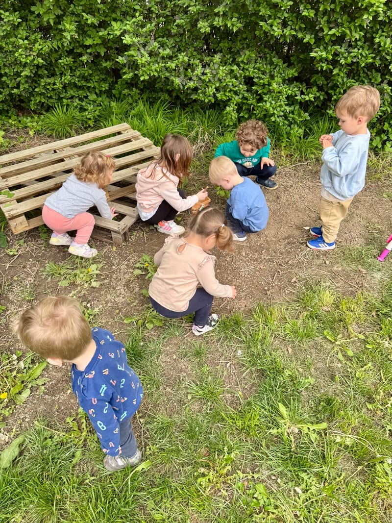 Activity in the yard