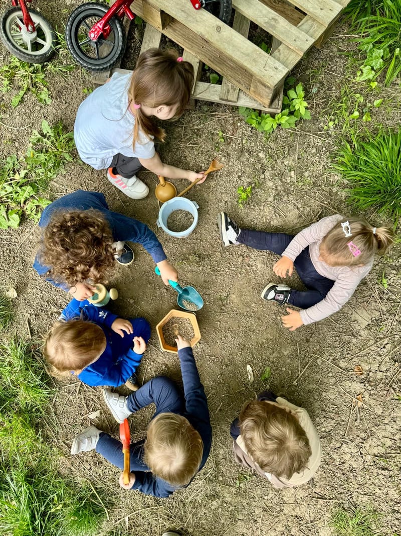 Activity in the yard