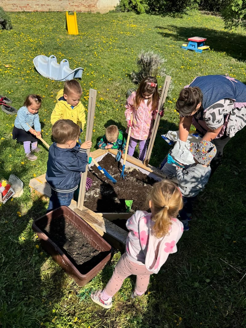 Activity in the yard