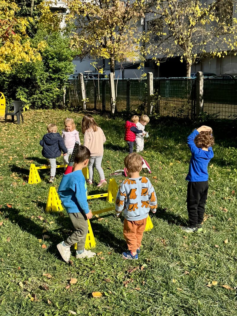 Activity in the yard