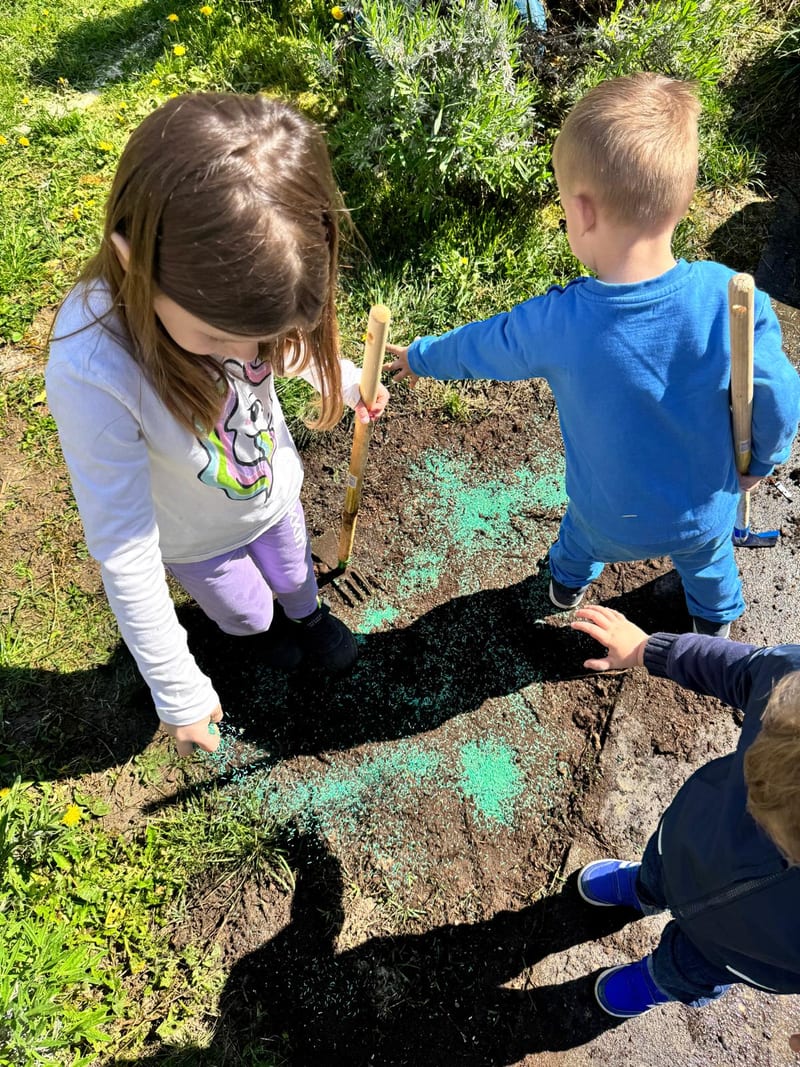 Activity in the yard