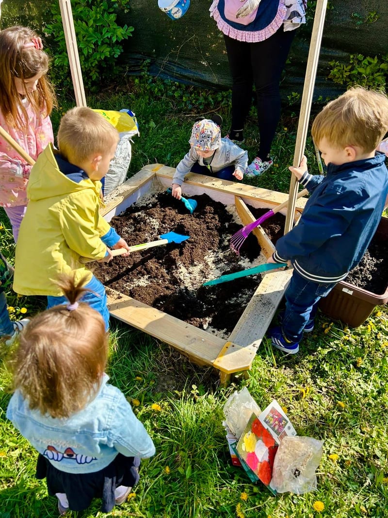 Activity in the yard