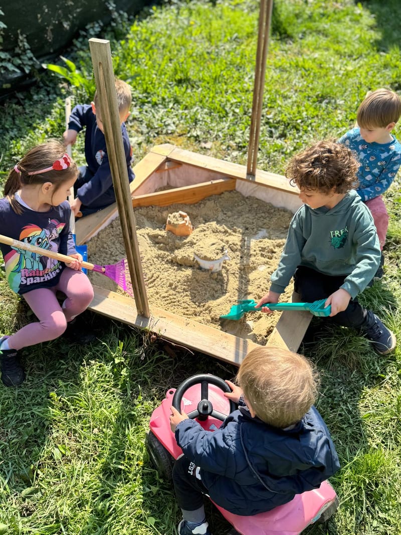 Activity in the yard