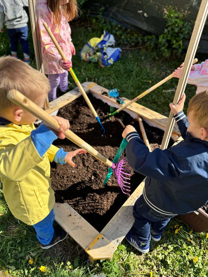 Activity in the yard