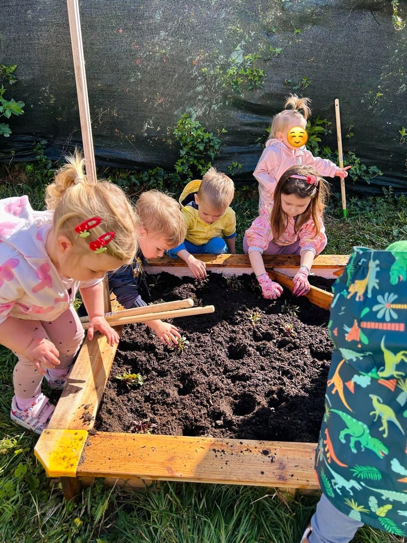 Activity in the yard