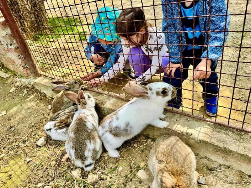 Excursion or visit outside the daycare