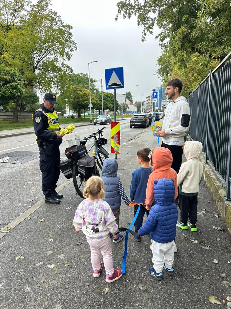 Excursion or visit outside the daycare