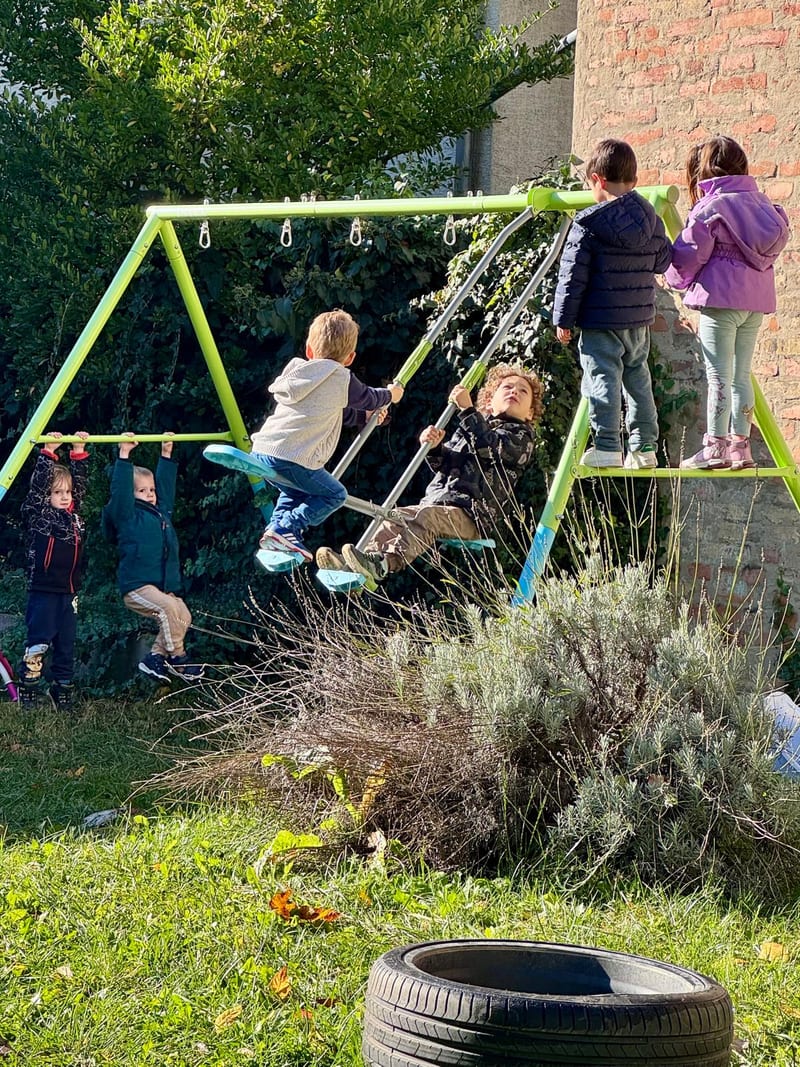 Activity in the yard
