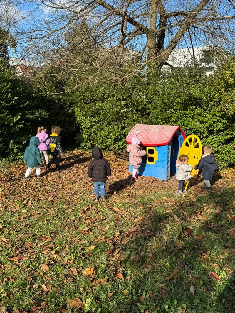 Activity in the yard