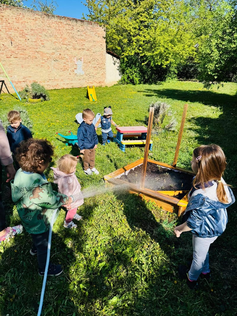 Activity in the yard