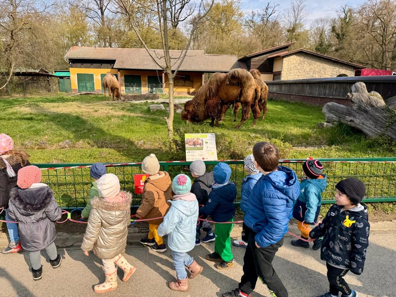 Excursion or visit outside the daycare
